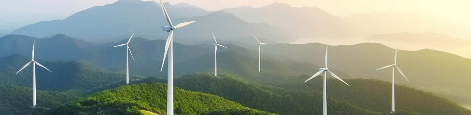 引领风光循环产业新篇章，共筑可持续发展的梦想